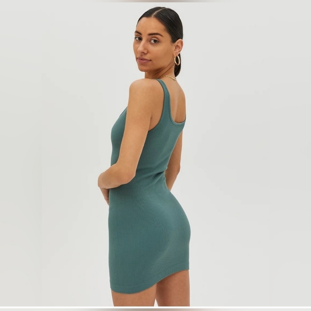 aritzia x Tna rincon dress
